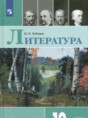 Литература 10 класс Лебедев